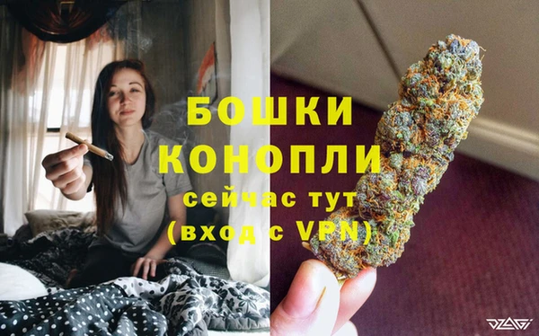 MESCALINE Бородино